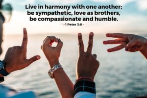 Today’s Verse – 1 Peter 3:8