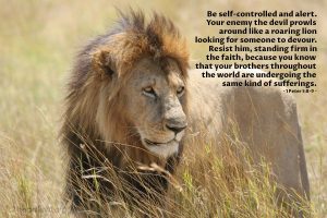 Today’s Verse – 1 Peter 5:8-9