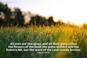 Today’s Verse – 1 Peter 1:24-25