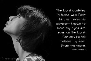 Today’s Verse – Psalm 25:14-15
